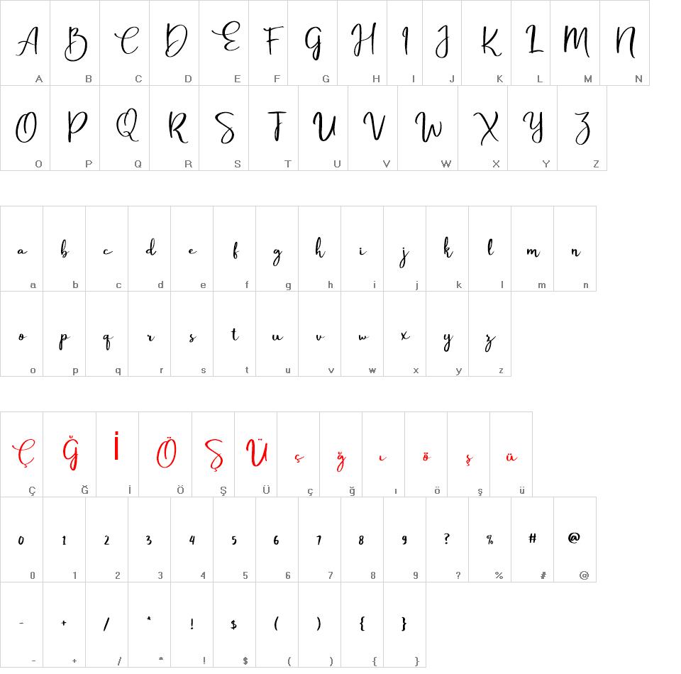 Passtyn Script font
